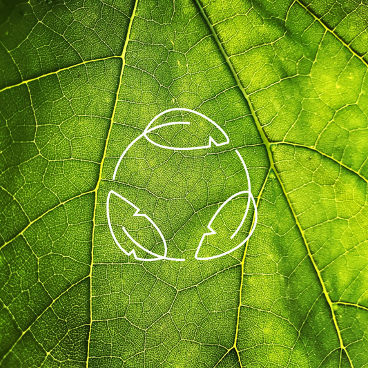 The Best Ways To Reuse And Recycle Your Packaging